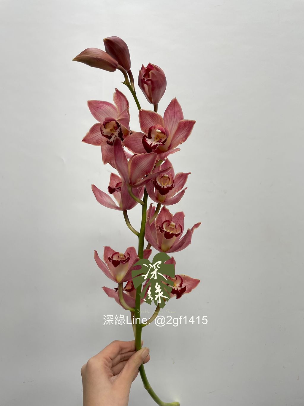 eZy Watermark_21-01-2025_01-36-26-1910下午-1737437795421