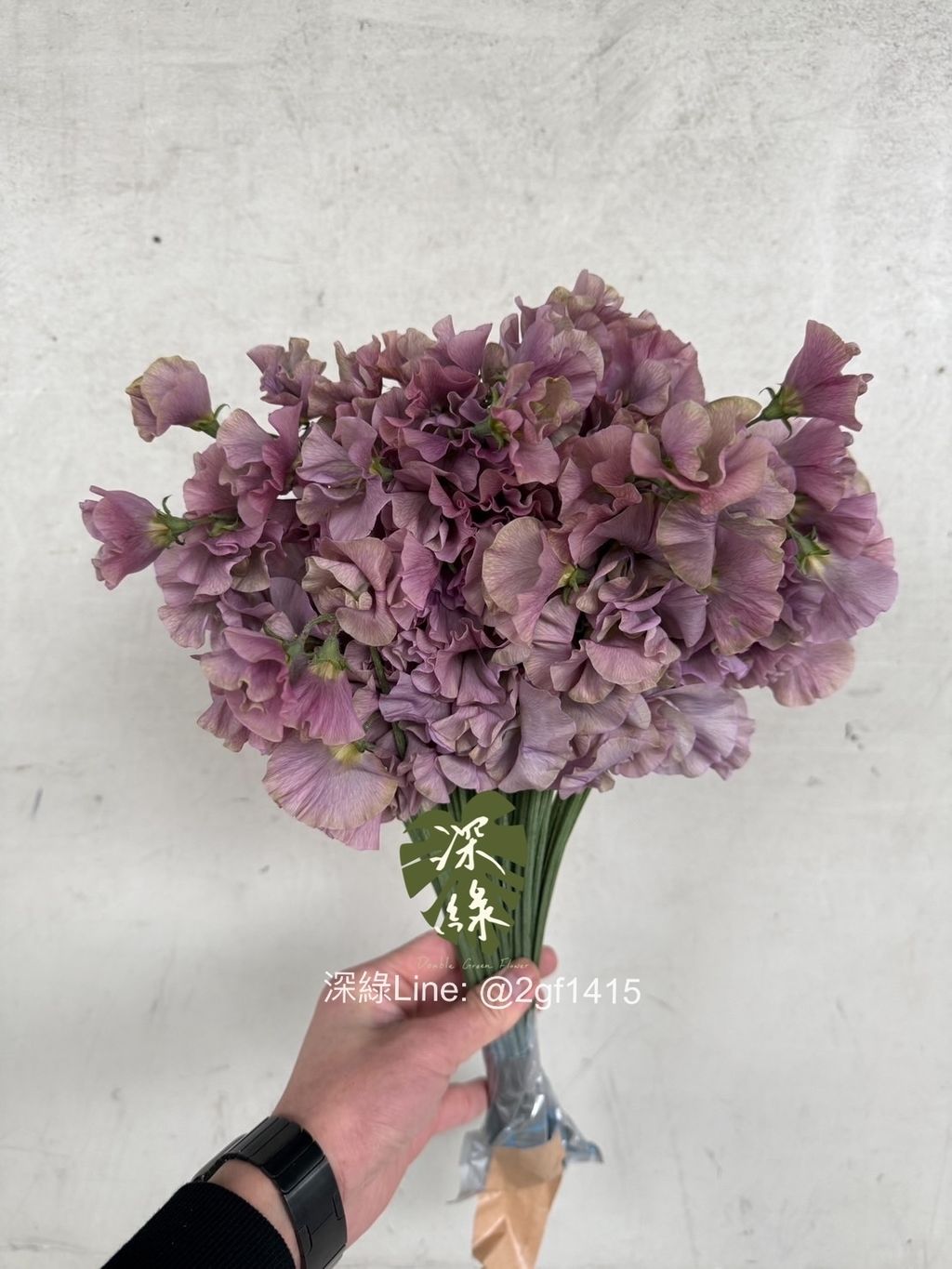 eZy Watermark_15-12-2024_01-58-36-3870下午-1734243350693