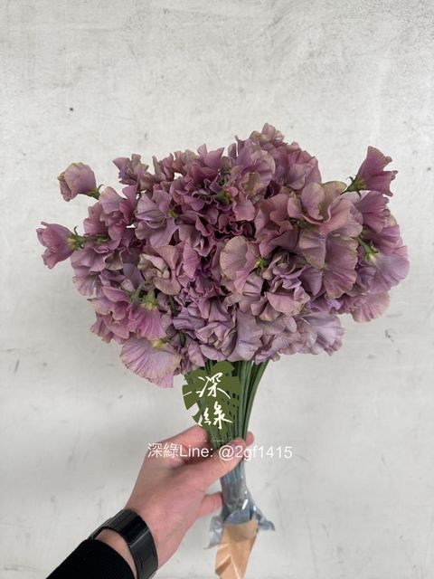 eZy Watermark_15-12-2024_01-58-36-3870下午-1734243350693