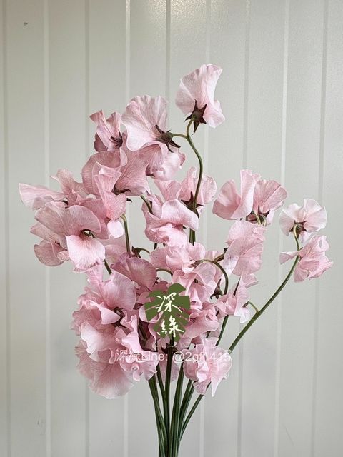 IMG_0041-1735622063007