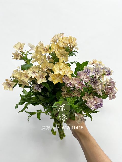 IMG_3195-1738551866390