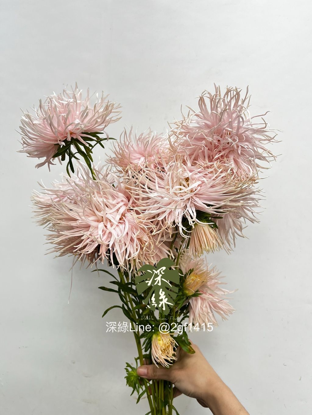 IMG_3198-1738551965713