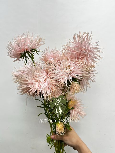 IMG_3198-1738551965713