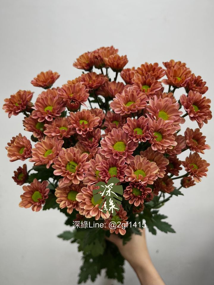 eZy Watermark_04-02-2025_12-04-18-0300下午-1738641907158