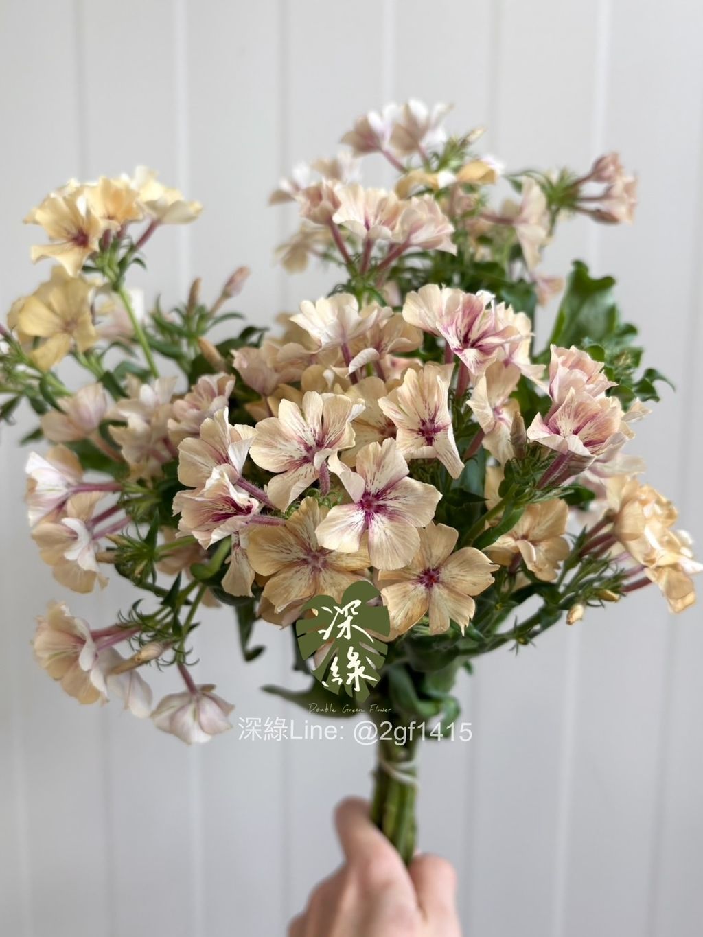 eZy Watermark_05-02-2025_05-54-02-9320下午-1738749283214