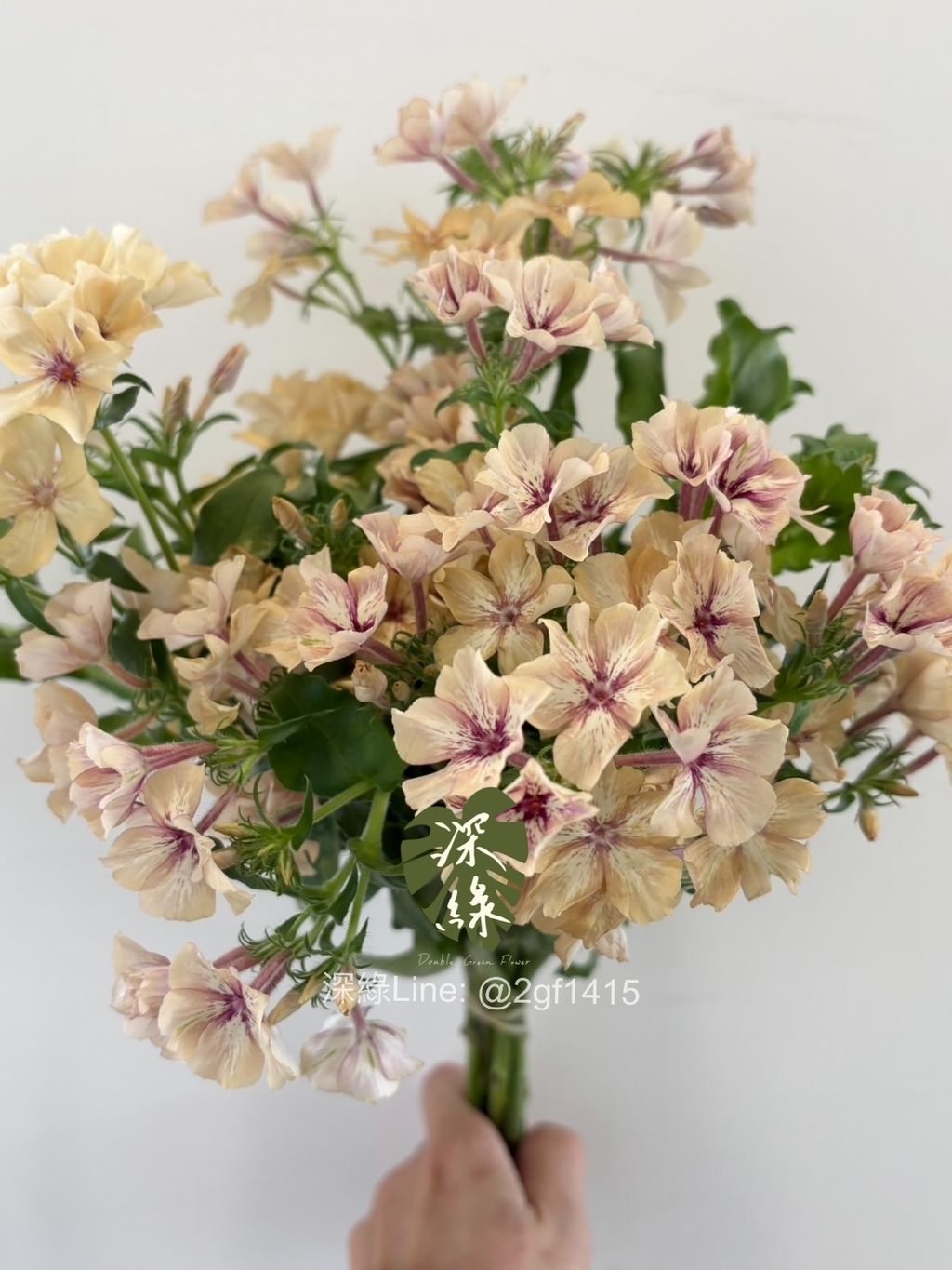 eZy Watermark_05-02-2025_05-54-02-7440下午-1738749283222