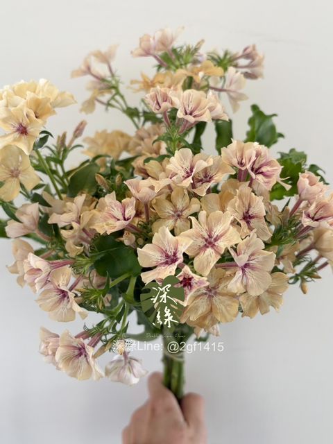 eZy Watermark_05-02-2025_05-54-02-7440下午-1738749283222