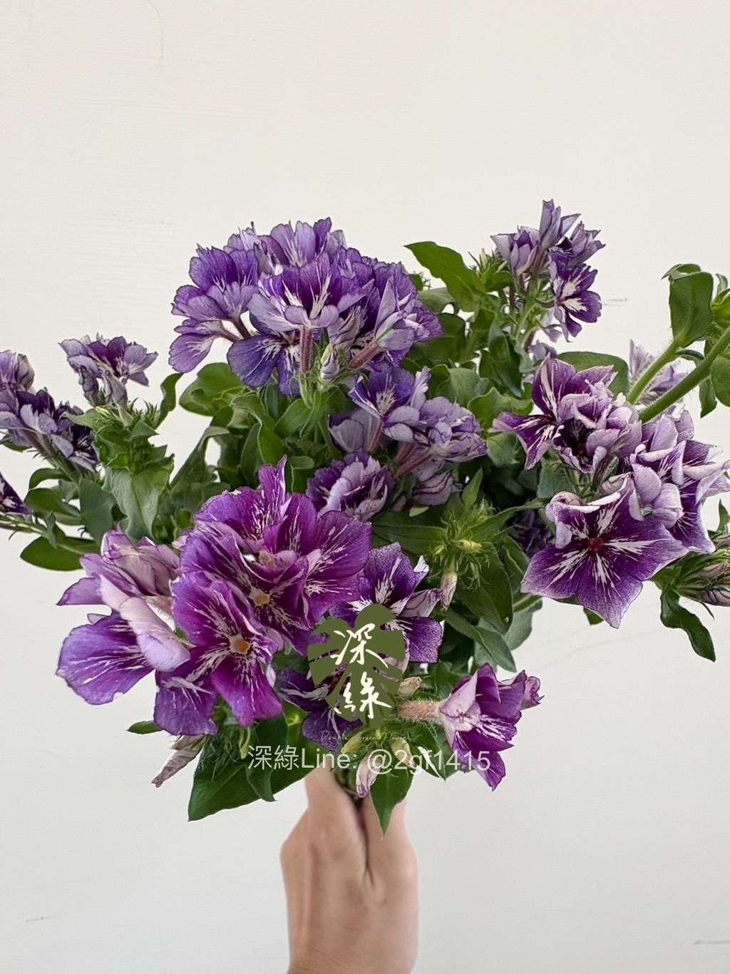 eZy Watermark_05-02-2025_05-54-02-3420下午-1738749324331