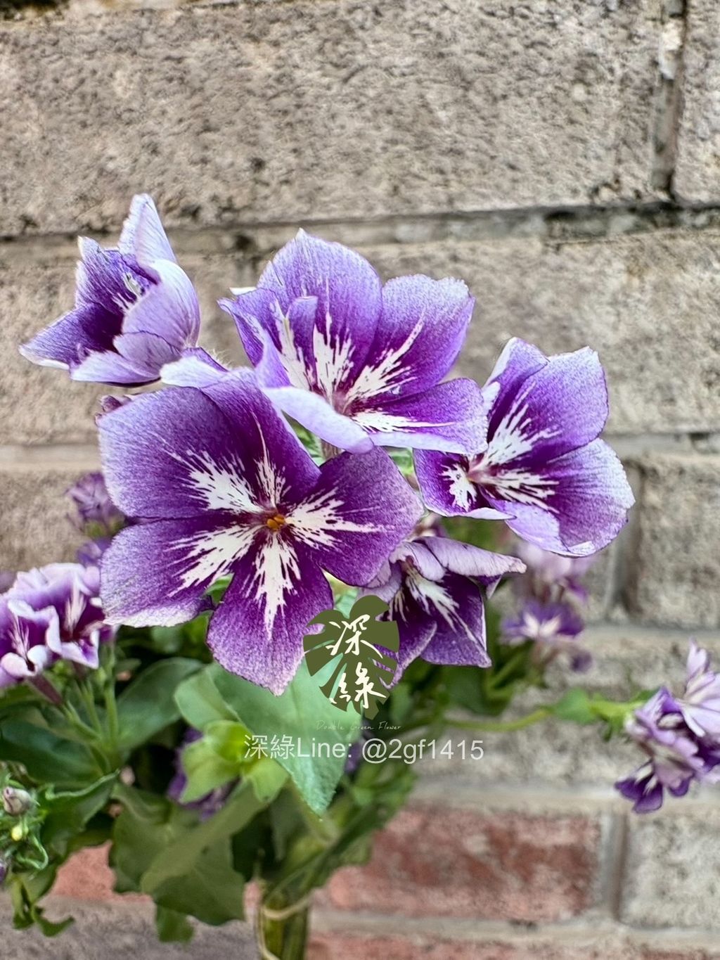 eZy Watermark_05-02-2025_05-54-02-0940下午-1738749324345