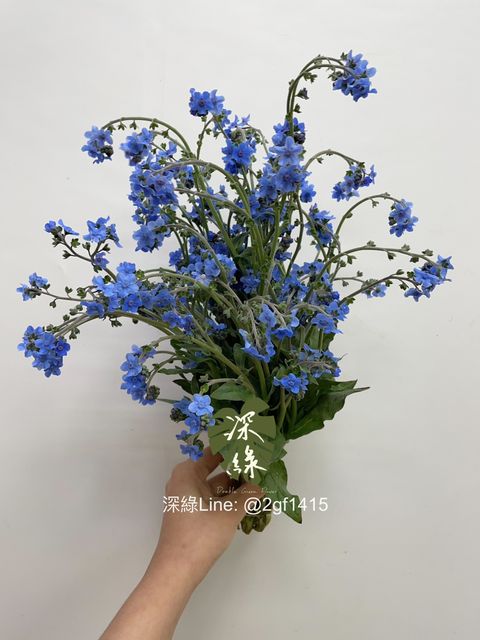 IMG_9598-1738749405364