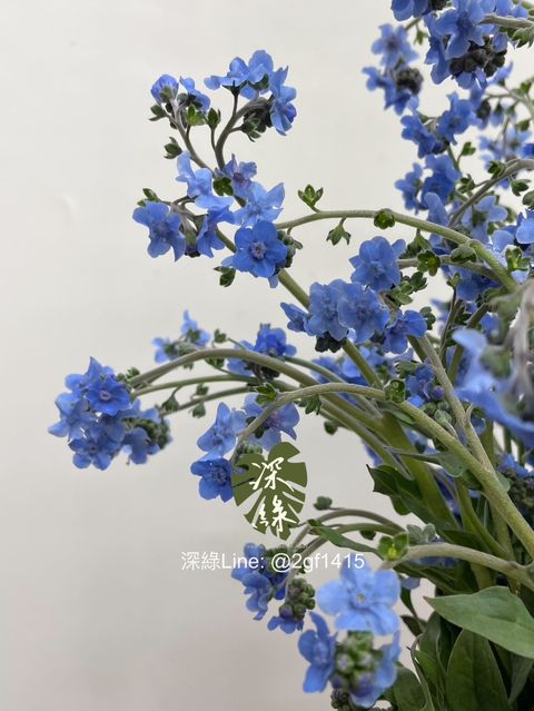 IMG_9597-1738749423022