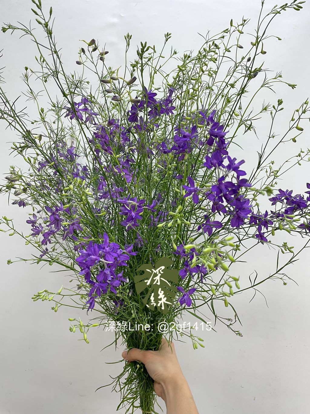 eZy Watermark_07-02-2025_10-41-12-6070上午-1738896238211