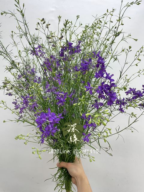 eZy Watermark_07-02-2025_10-41-12-6070上午-1738896238211