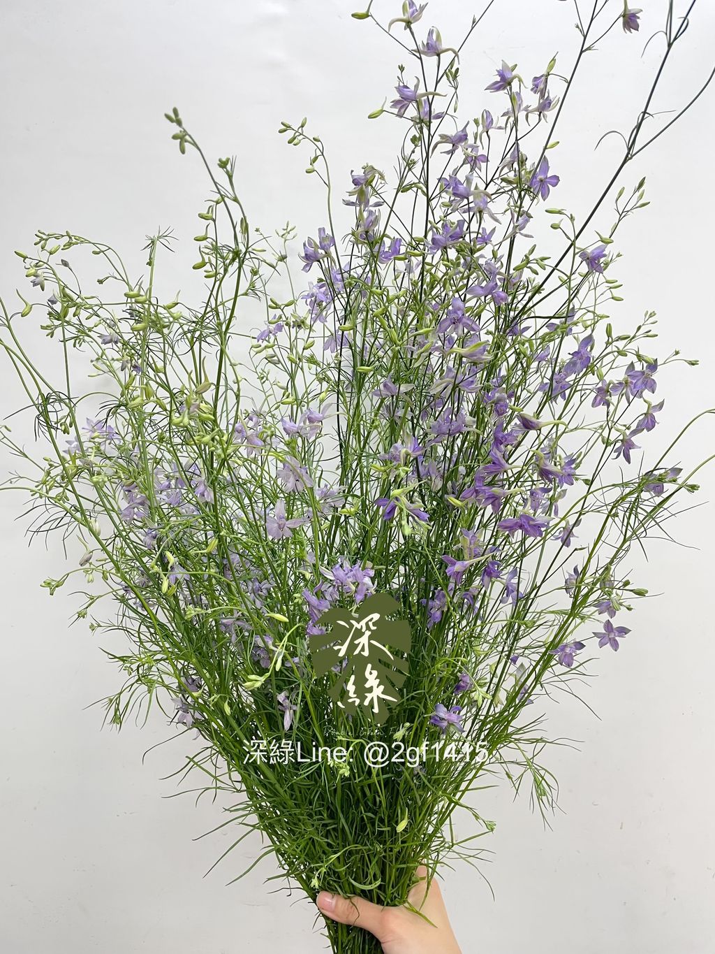 eZy Watermark_07-02-2025_10-41-13-3400上午-1738896356455