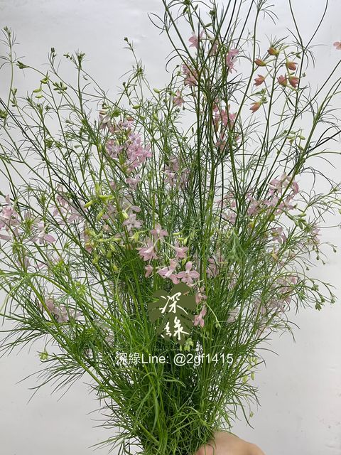 eZy Watermark_07-02-2025_10-41-13-9720上午-1738896437094