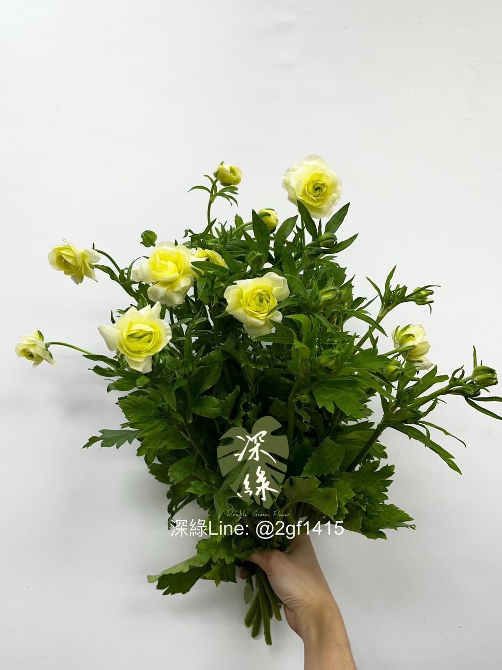 IMG_3286-1738901910532