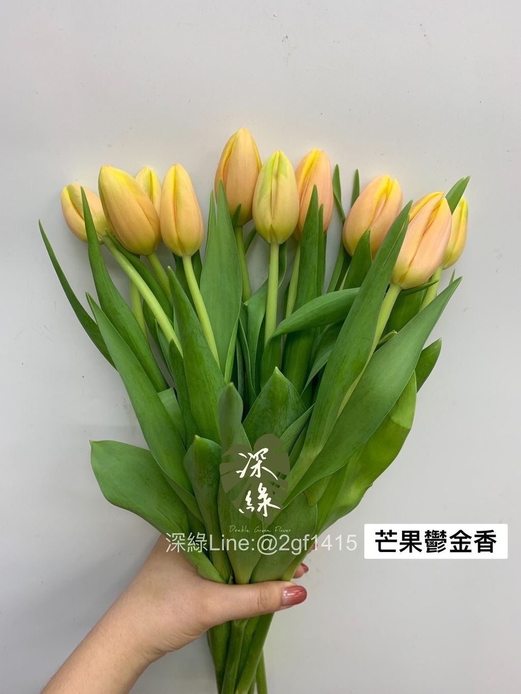 D5B3598B-39DB-469D-BD3F-655F37C20B82