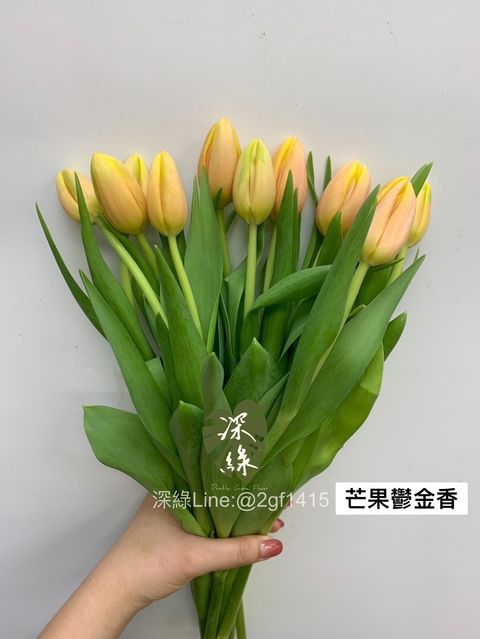 D5B3598B-39DB-469D-BD3F-655F37C20B82