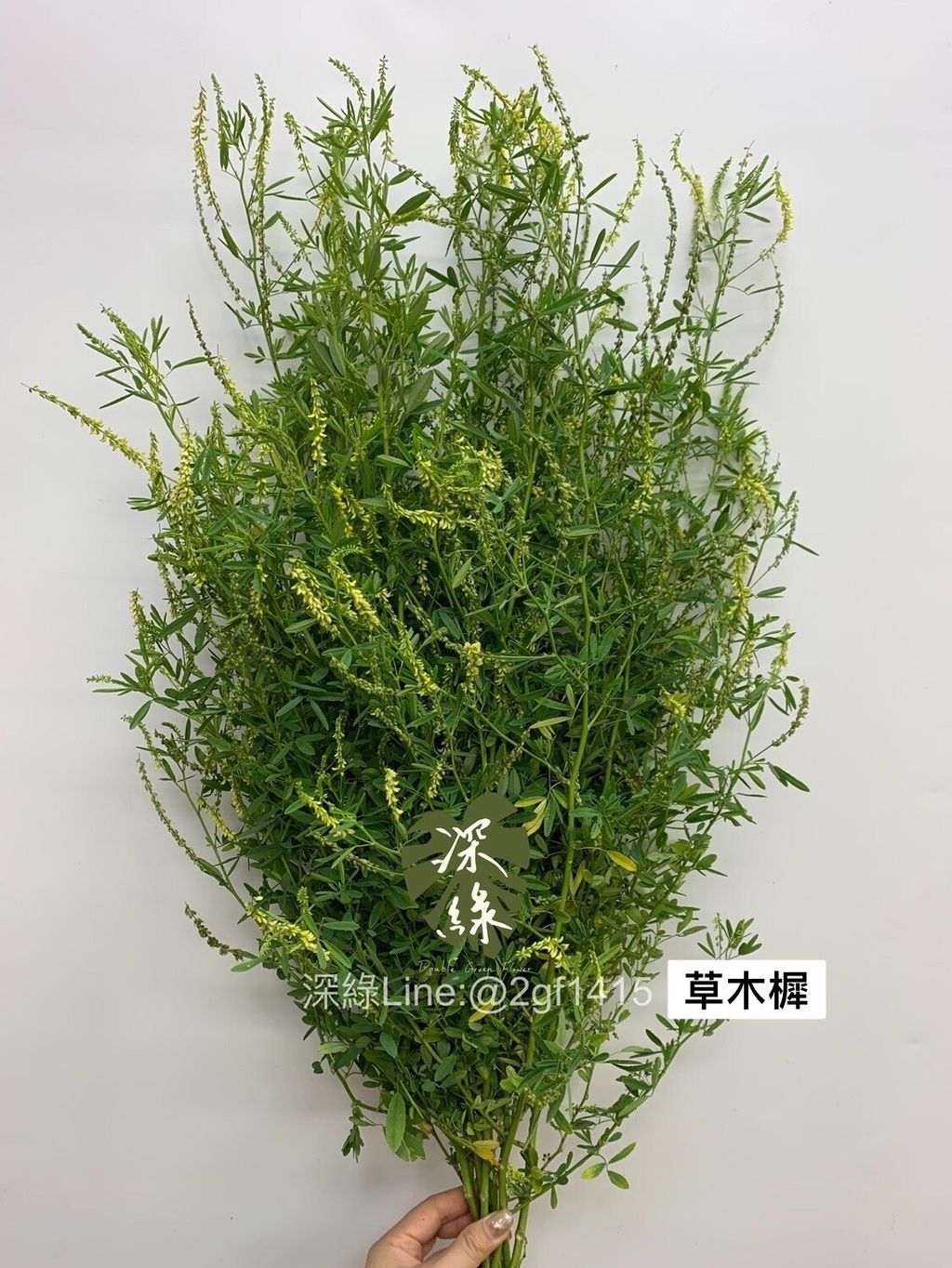 LINE_ALBUM_葉材_240406_16