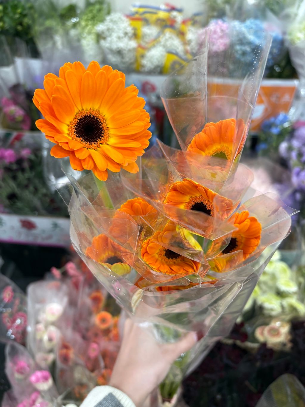 IMG_3050-1739268774432