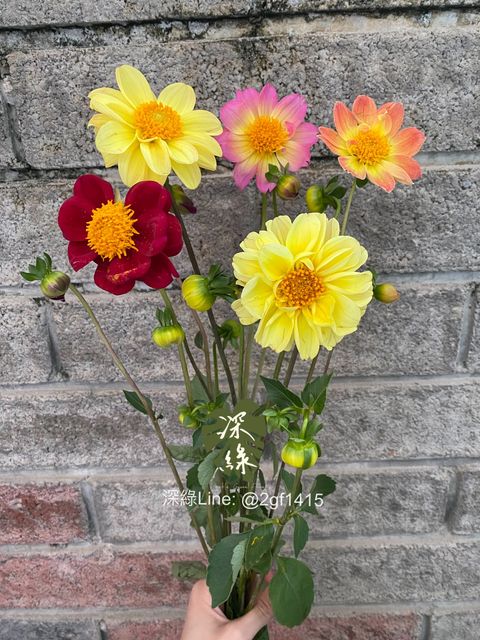 eZy Watermark_17-12-2024_06-36-47-4550下午-1734431905269