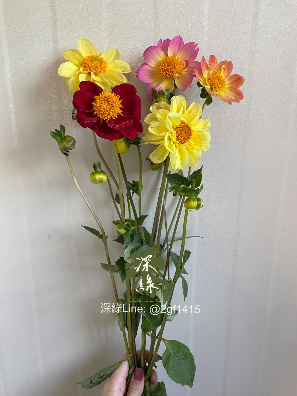 eZy Watermark_17-12-2024_06-36-50-1330下午-1734431905039