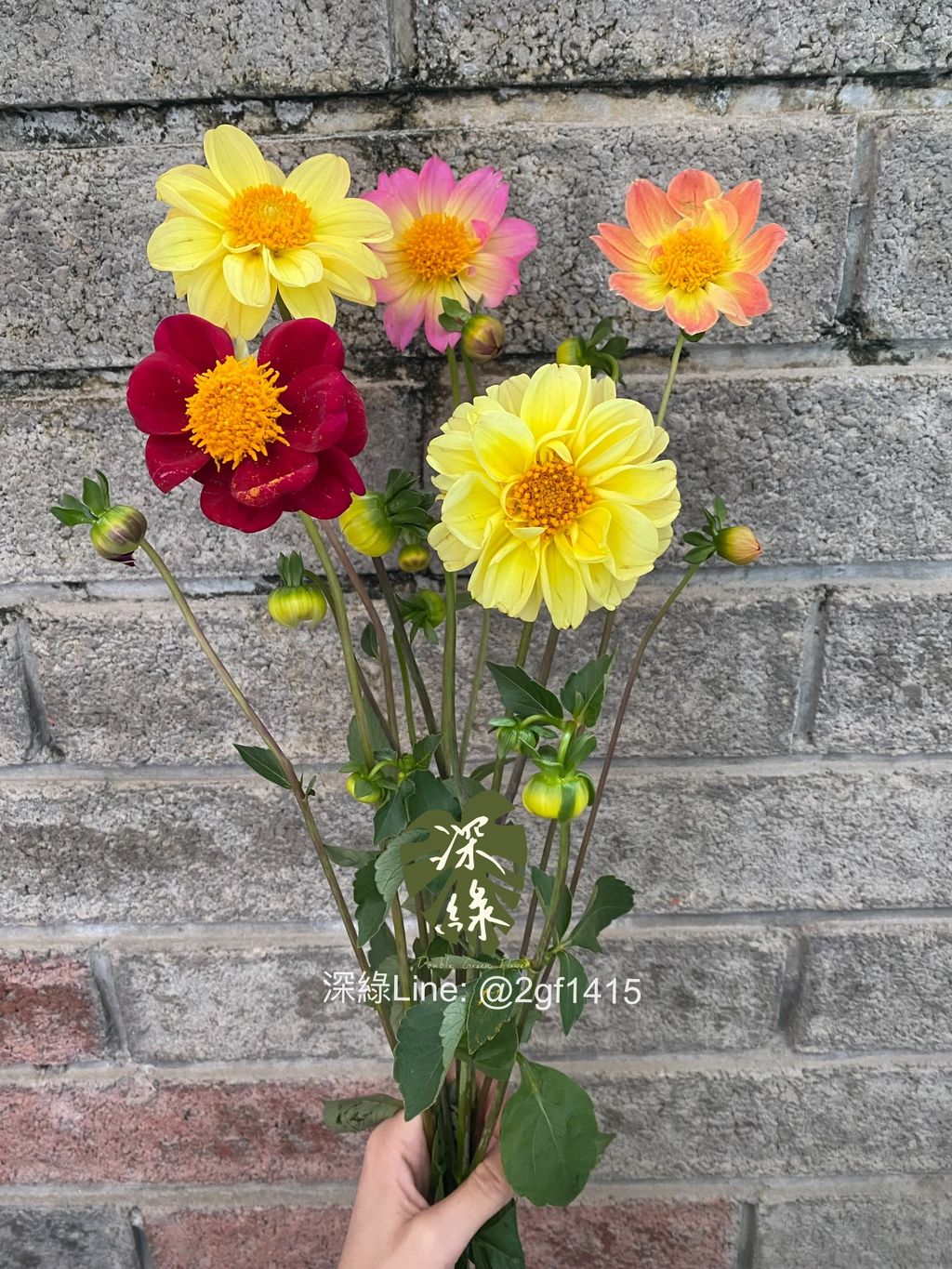 eZy Watermark_17-12-2024_06-36-45-3500下午-1734431905512