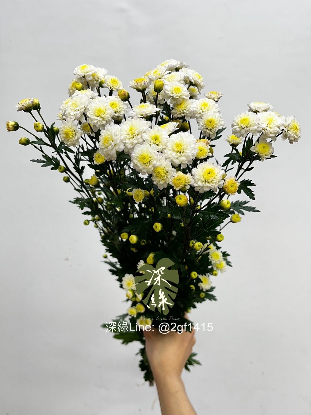 IMG_3367-1739580940559