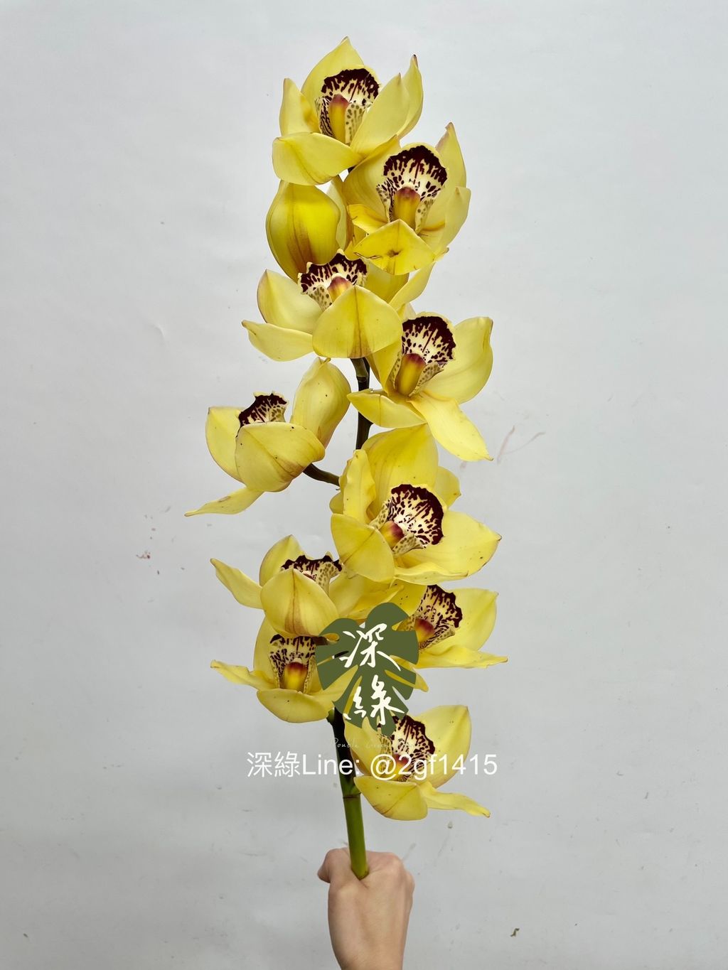 IMG_0678-1739686161491