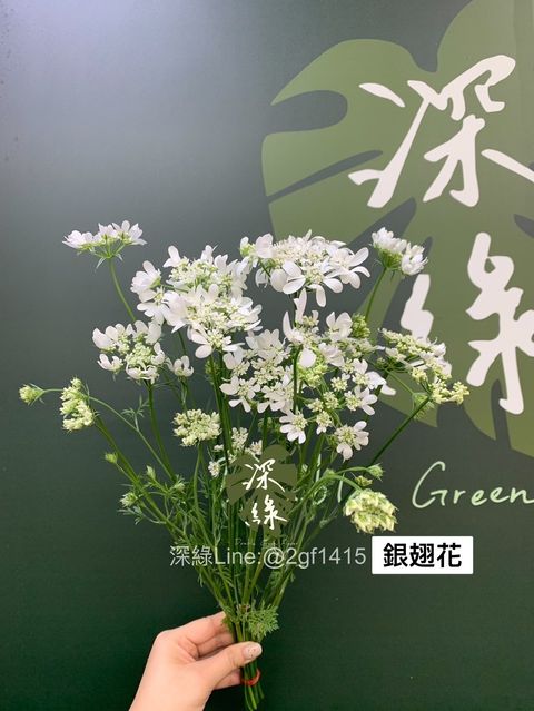 CEAE9AA3-FDD1-49B0-9134-E0DD414B39FB