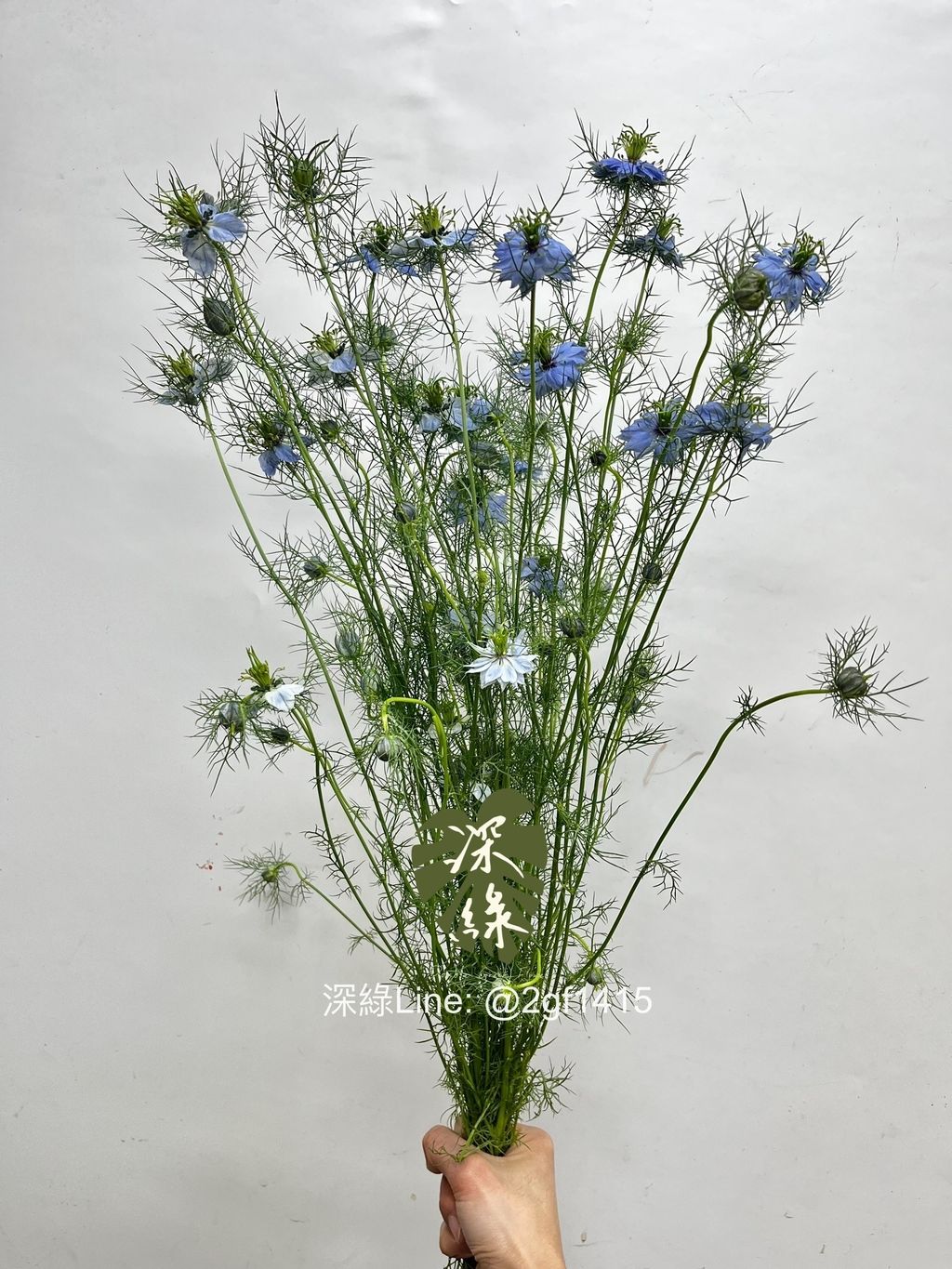 eZy Watermark_18-02-2025_09-28-05-7180上午-1739842093939