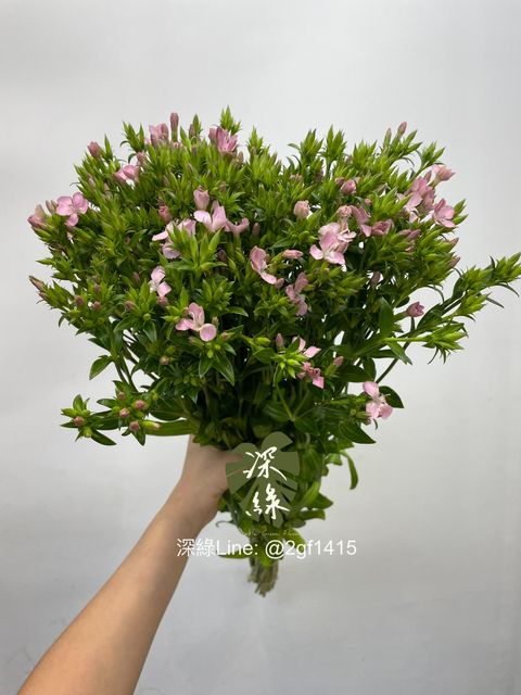 eZy Watermark_01-04-2024_01-24-40-5680下午-1711949204789