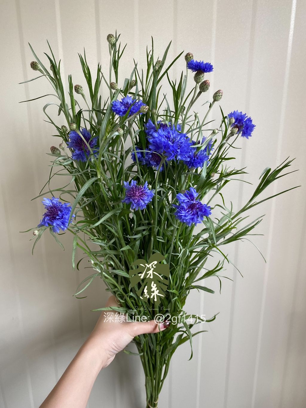 eZy Watermark_20-02-2025_06-15-10-2150下午-1740046547183