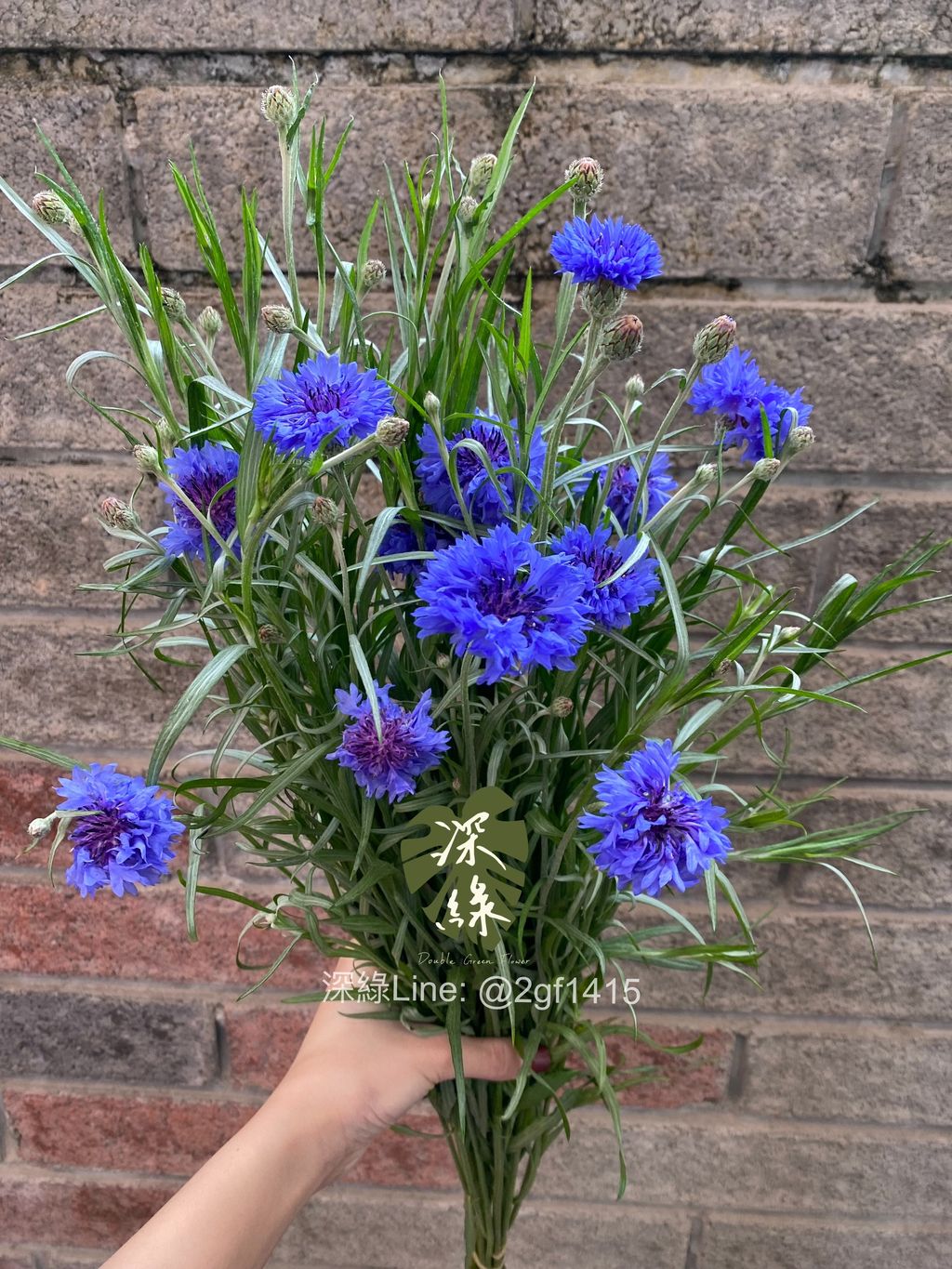 eZy Watermark_20-02-2025_06-15-09-4720下午-1740046580665