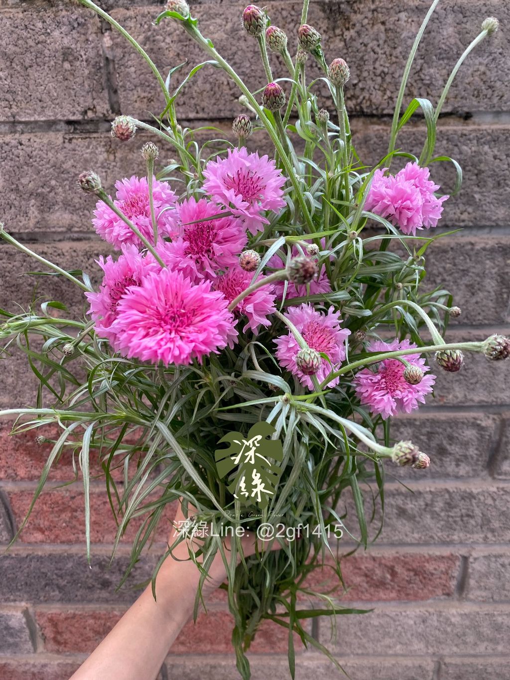 eZy Watermark_20-02-2025_06-15-07-5860下午-1740046659526