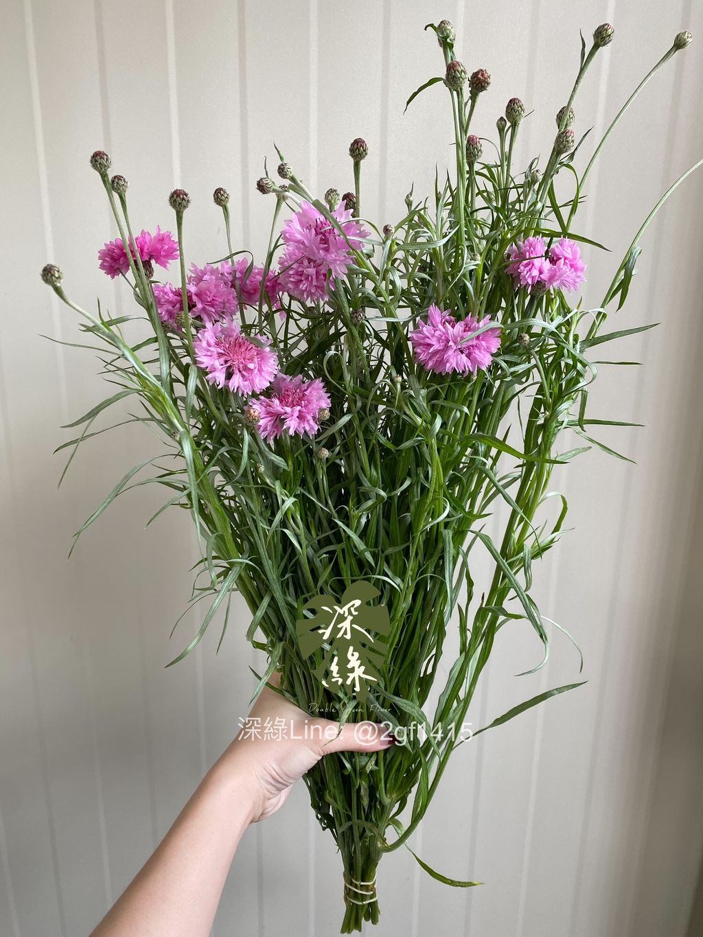 eZy Watermark_20-02-2025_06-15-08-6670下午-1740046659720