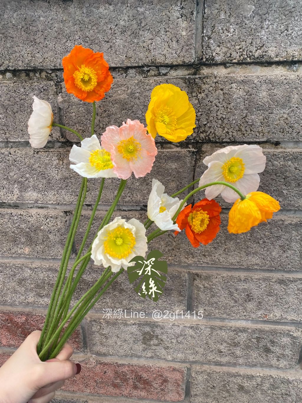 eZy Watermark_20-02-2025_06-15-10-9650下午-1740046836917