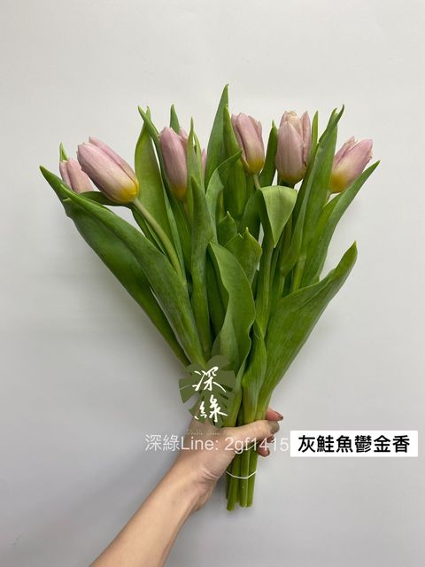 14DB892E-452C-4FD4-B22C-47C23649CC50