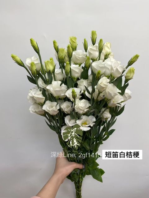 33386832-5612-40D9-BDB5-4C7EC21BB995-L0-001