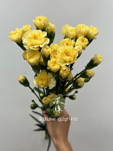 IMG_1154-1740384582098