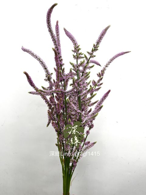 IMG_2204-1735870441072