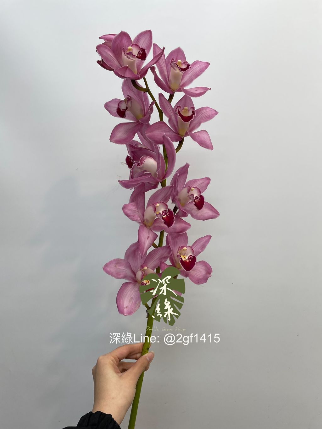 eZy Watermark_28-02-2025_10-44-53-7430上午-1740710727174