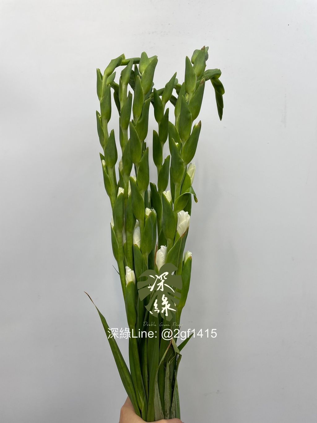 IMG_9257-1719217275997