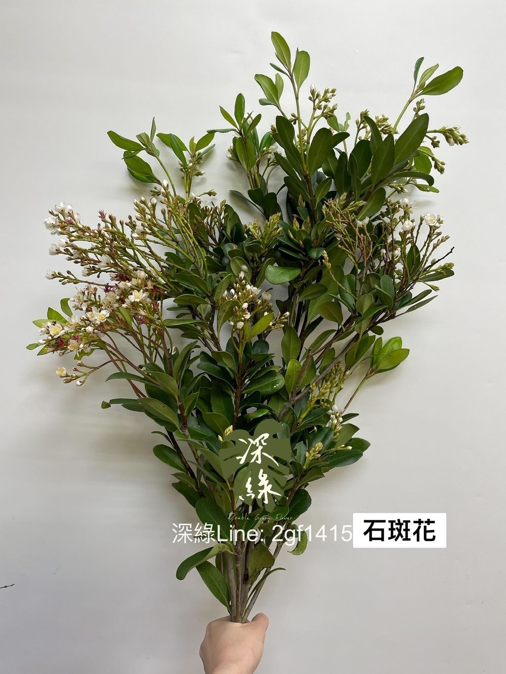 144F37C0-F153-44A2-976E-9C9717B1AC48