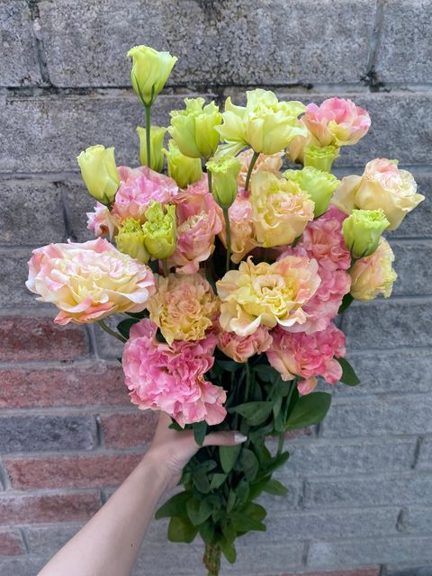 image_A6F8F822-BA10-46CB-BF22-3CF79B608C77_1741596911