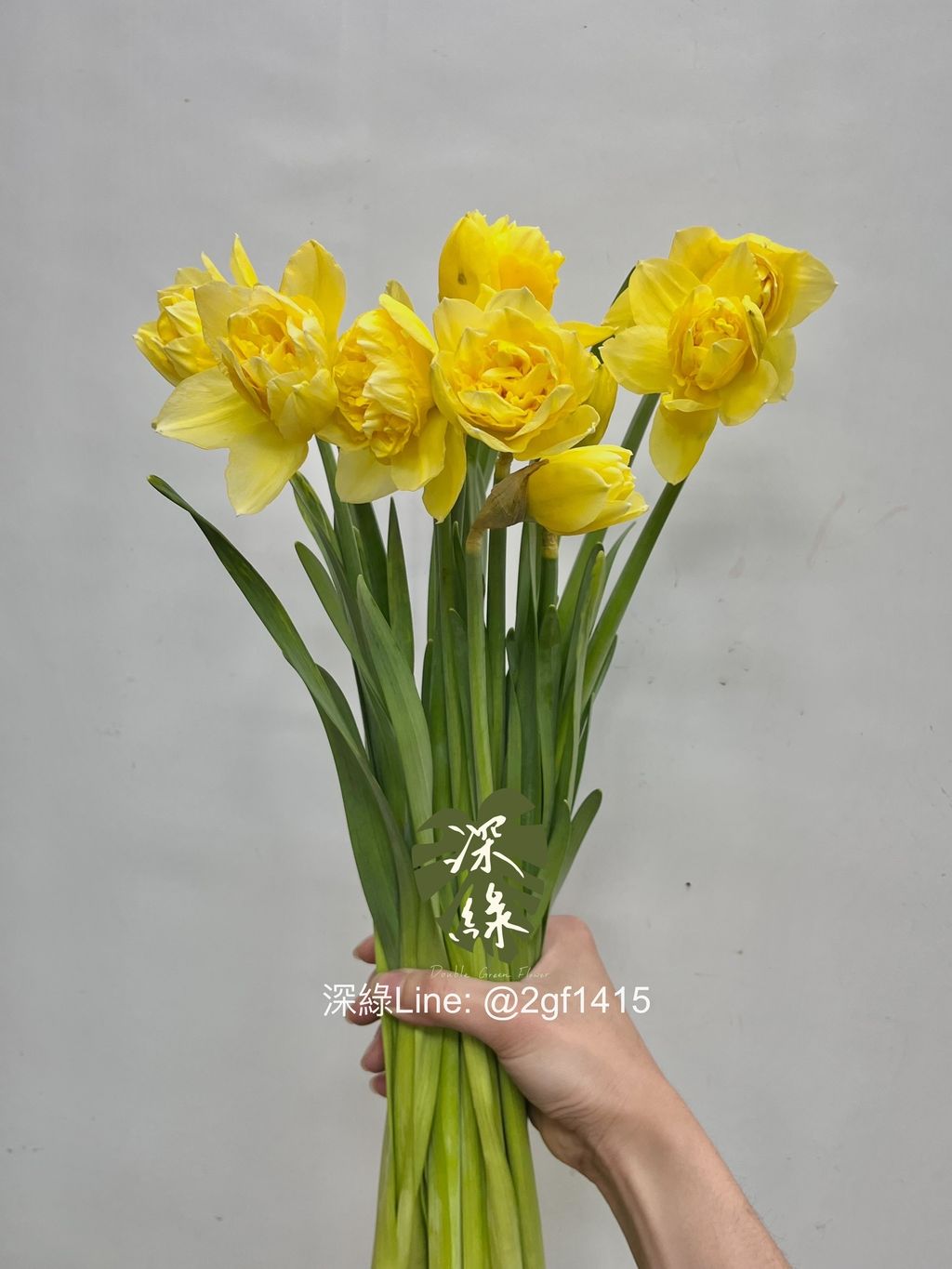 IMG_4055-1741668938202