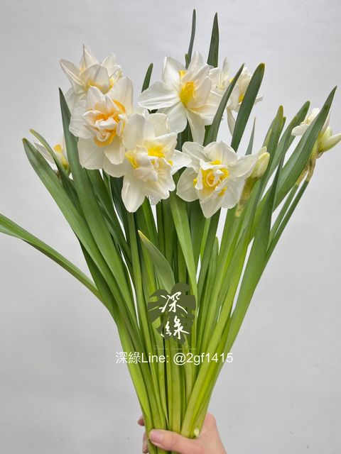 IMG_4056-1741669007429