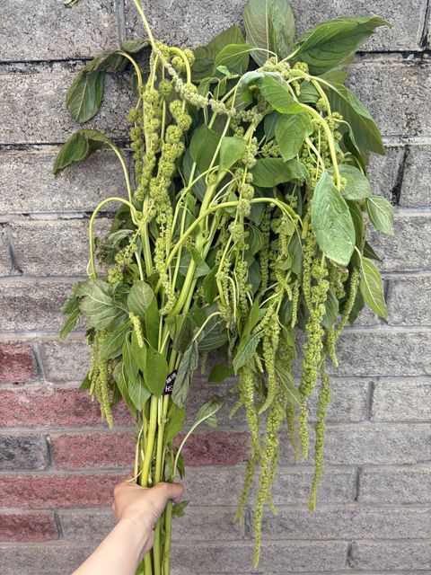 C8B82EFA-5A50-479F-9254-97B3A283B8DB