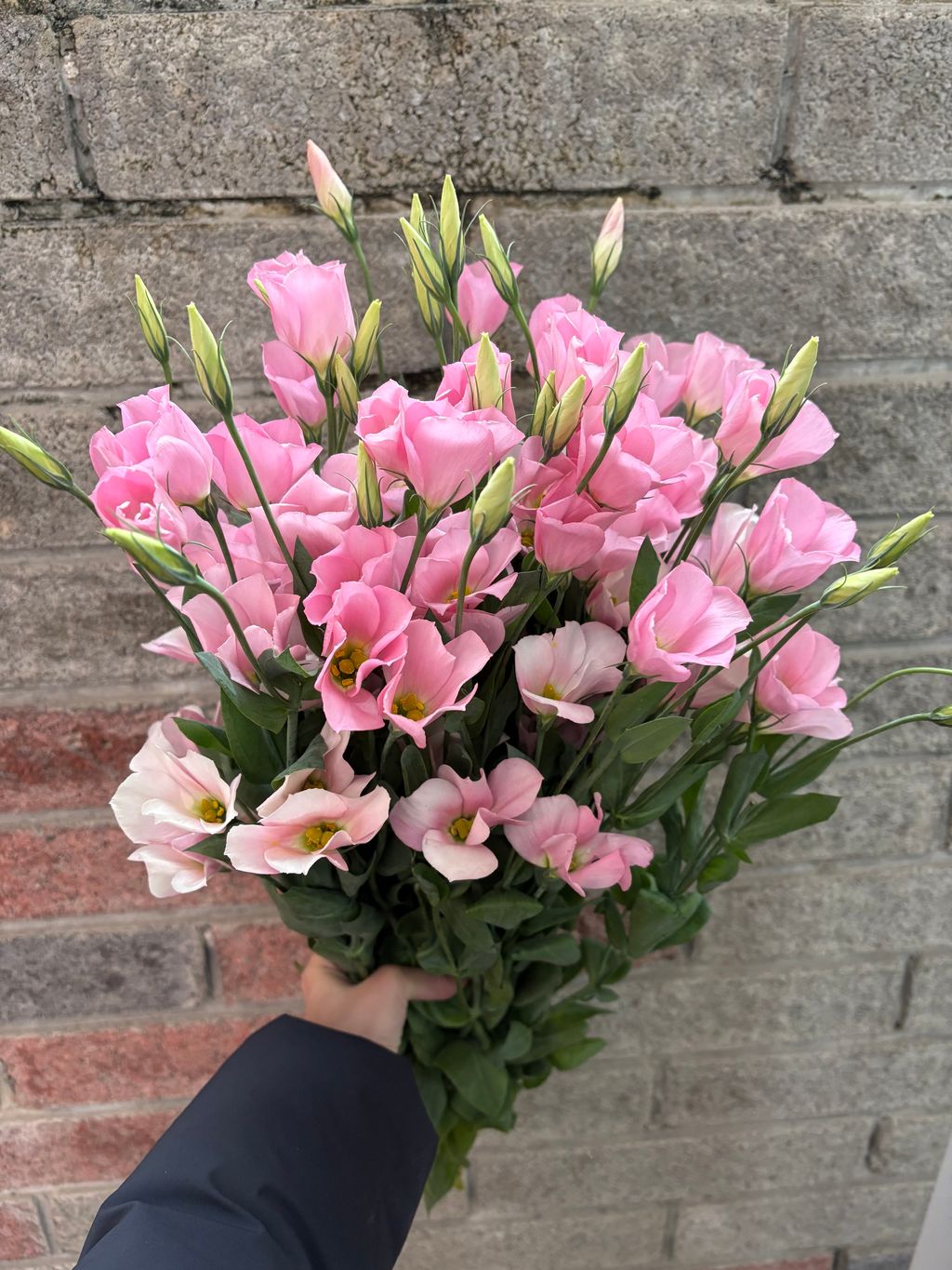 image_23BAA2DD-A55D-4B1D-B854-C1D5E80AD5A2_1742209788