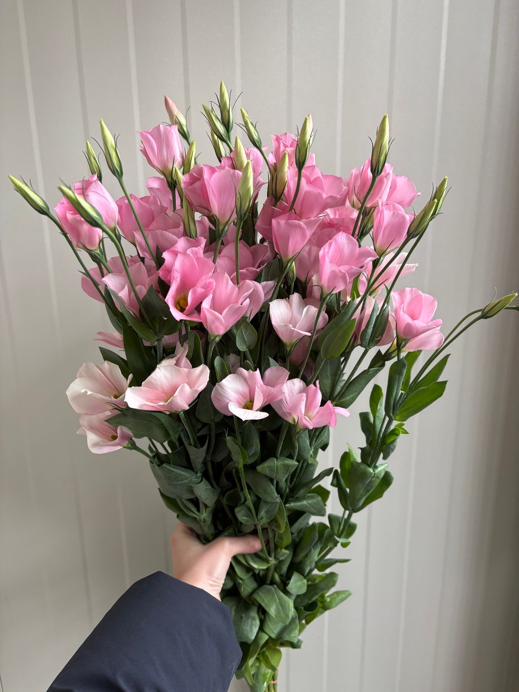 image_E36C487E-ABE0-4B3B-AE3E-85445E9ED0A7_1742209788